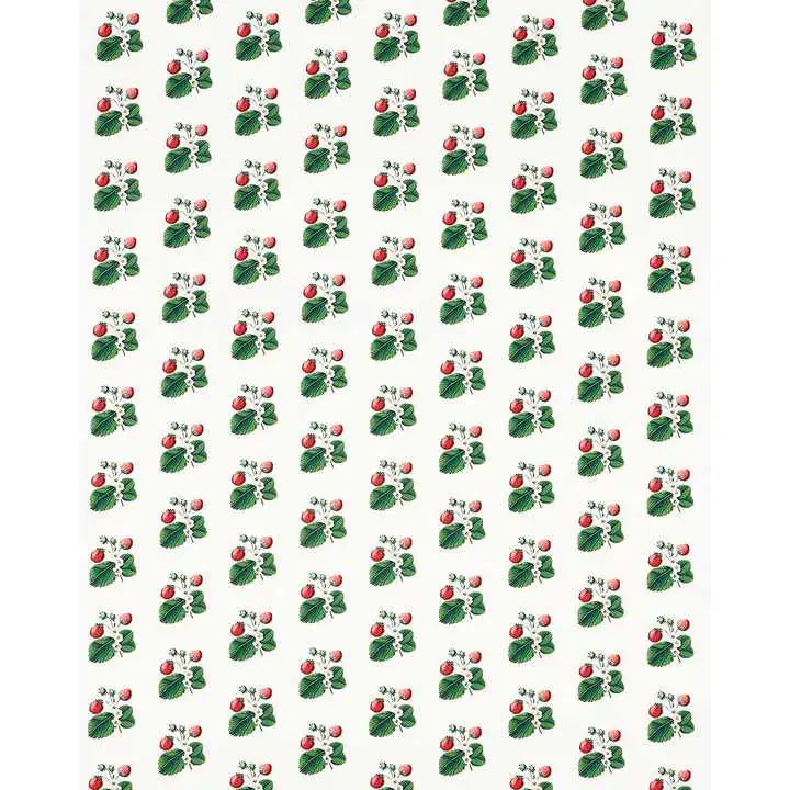 Schumacher Carta da Parati Strawberry Hill Deco Interni