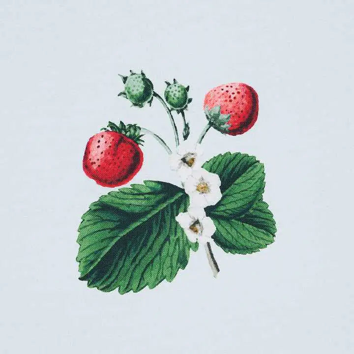Schumacher Carta da Parati Strawberry Hill Deco Interni