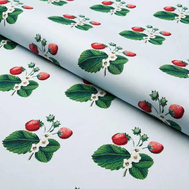 Schumacher Samples Strawberry Hill Deco Interni