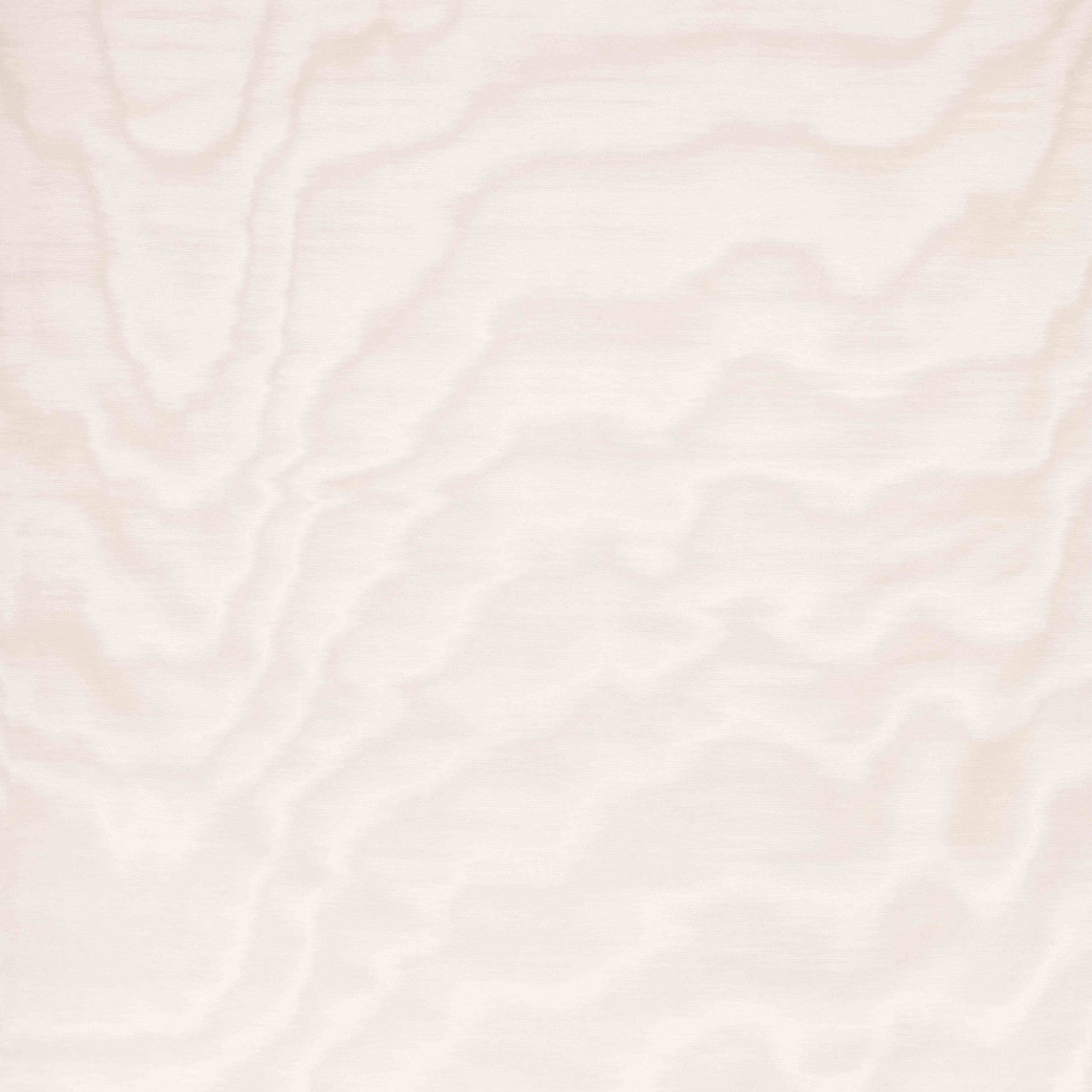 Carta da parati Amoir Fou Wall White Dedar
