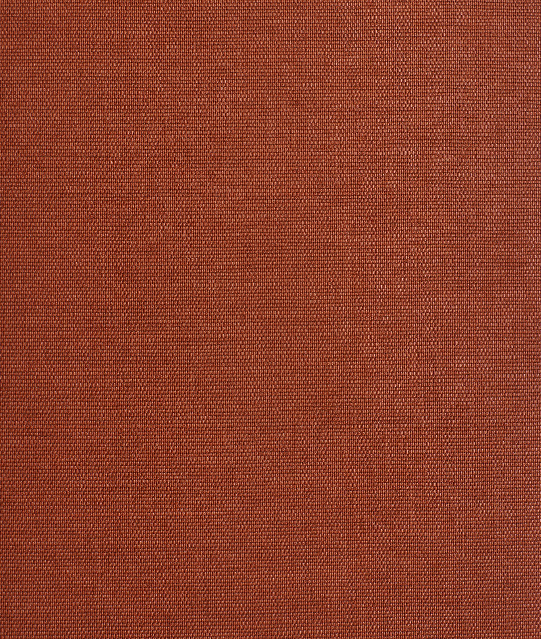 Carta da parati Didgeridoo Wall Rooibos Dedar