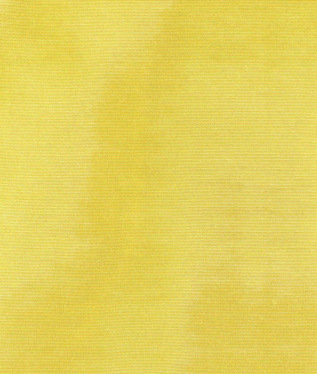 Carta da parati Amoir Libre Wall Canari Dedar