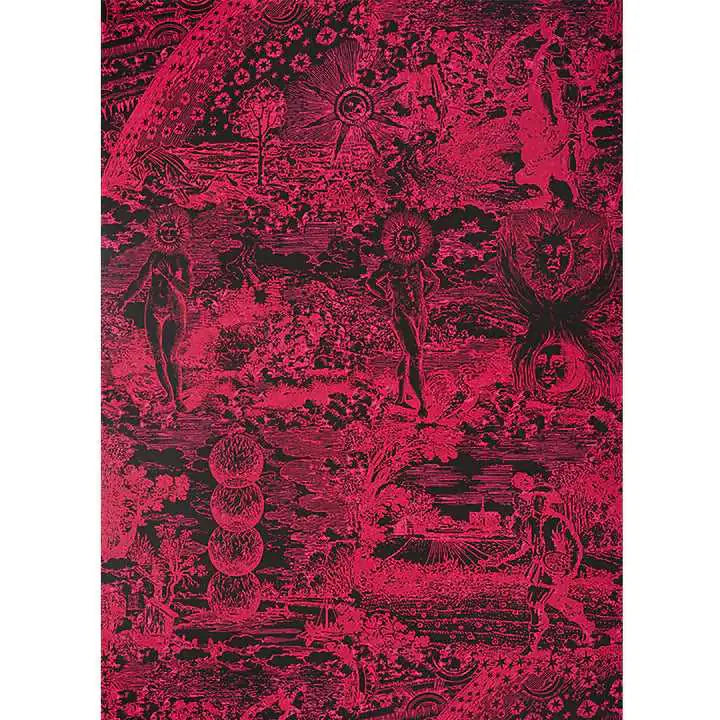 Schumacher Carta da Parati Modern Toile Deco Interni