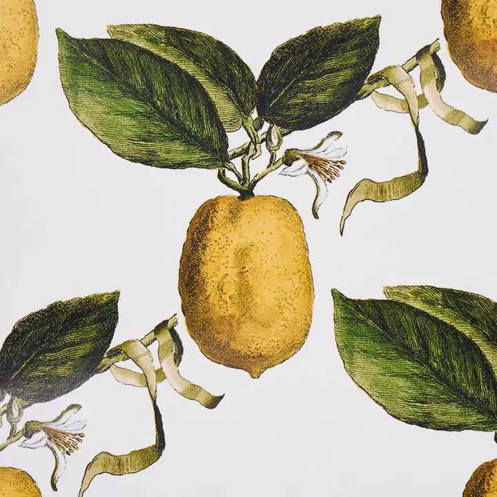 Schumacher Tessuti Le Citron Deco Interni