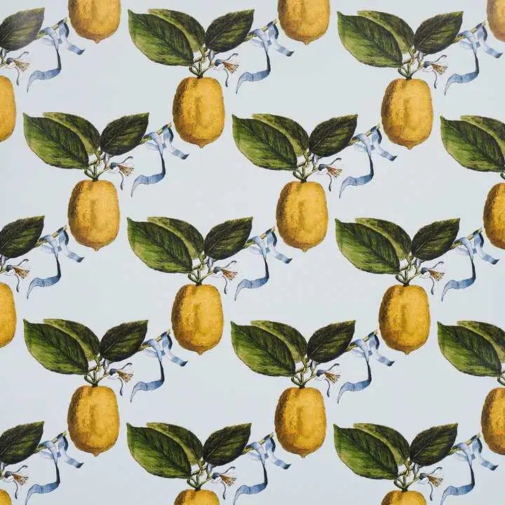 Schumacher Samples Le Citron Deco Interni