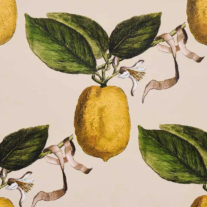 Schumacher Tessuti Le Citron Deco Interni