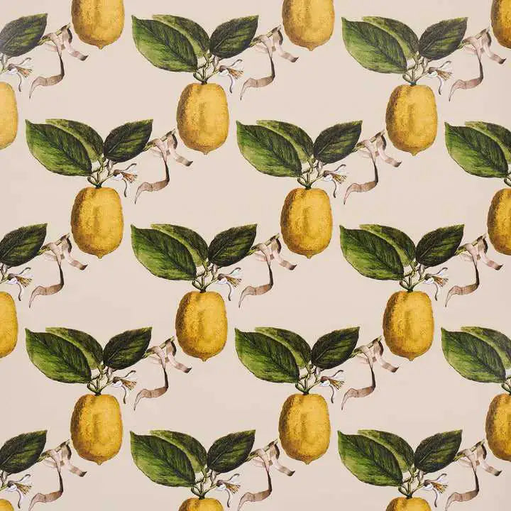 Schumacher Tessuti Le Citron Deco Interni