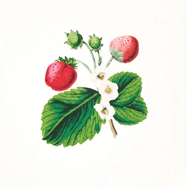 Strawberry Hill