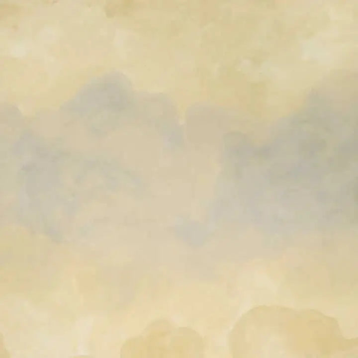 Schumacher Carta da Parati Painted Sky Deco Interni