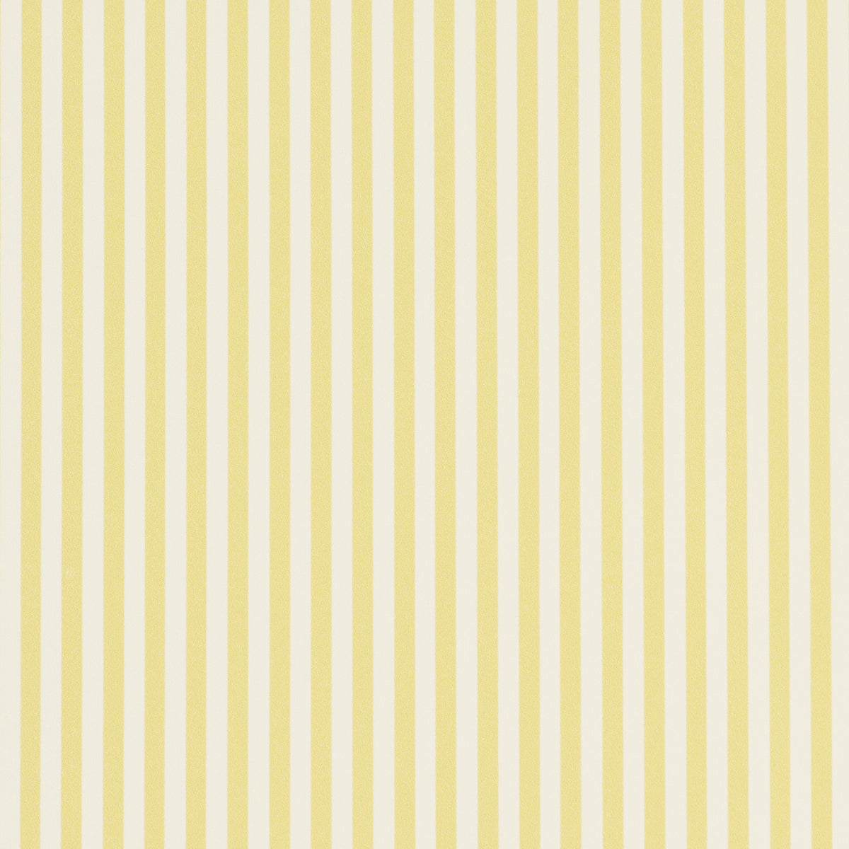 Emma Stripe Narrow