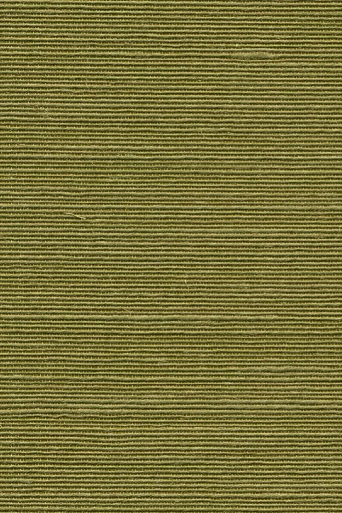 Agave