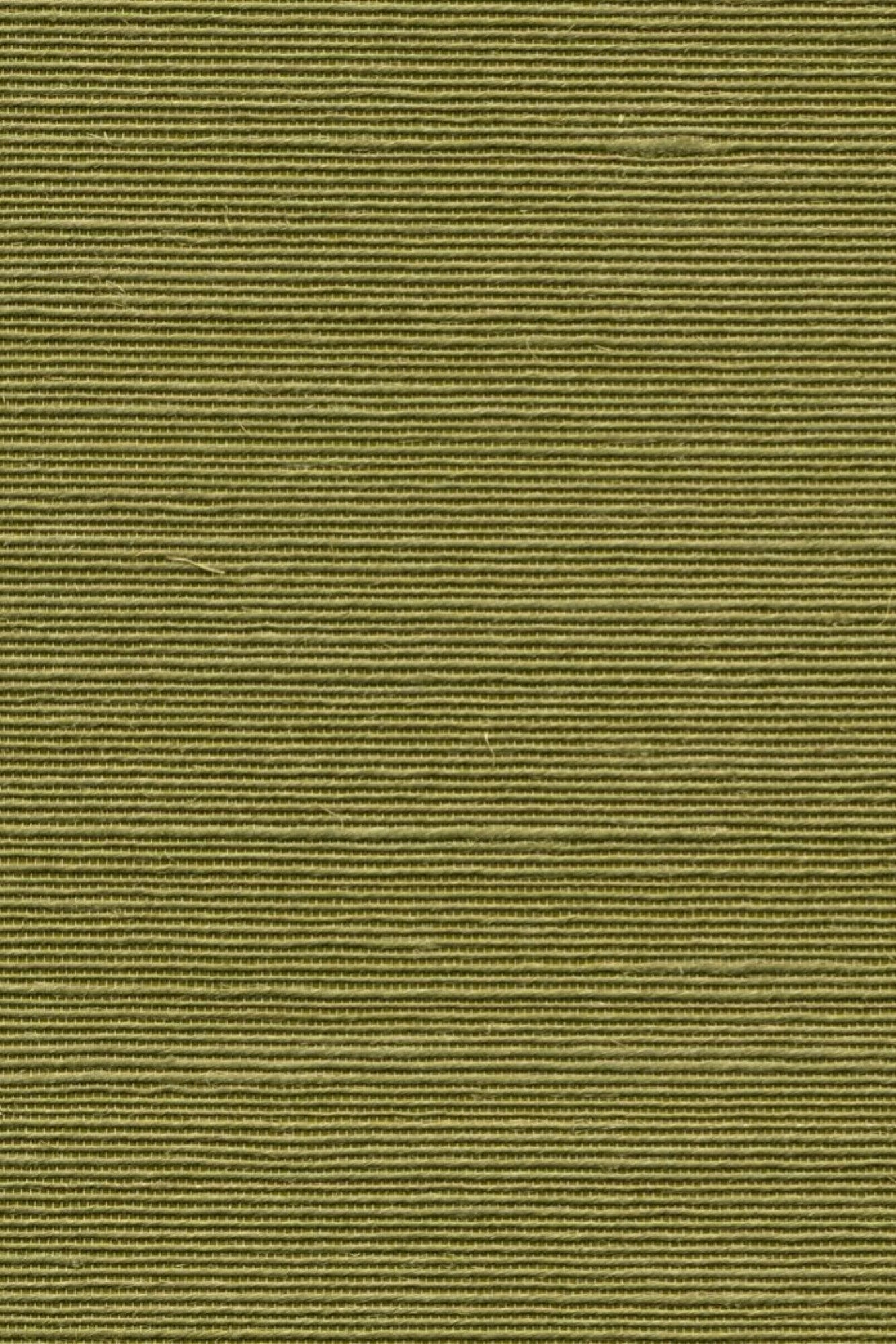 Agave