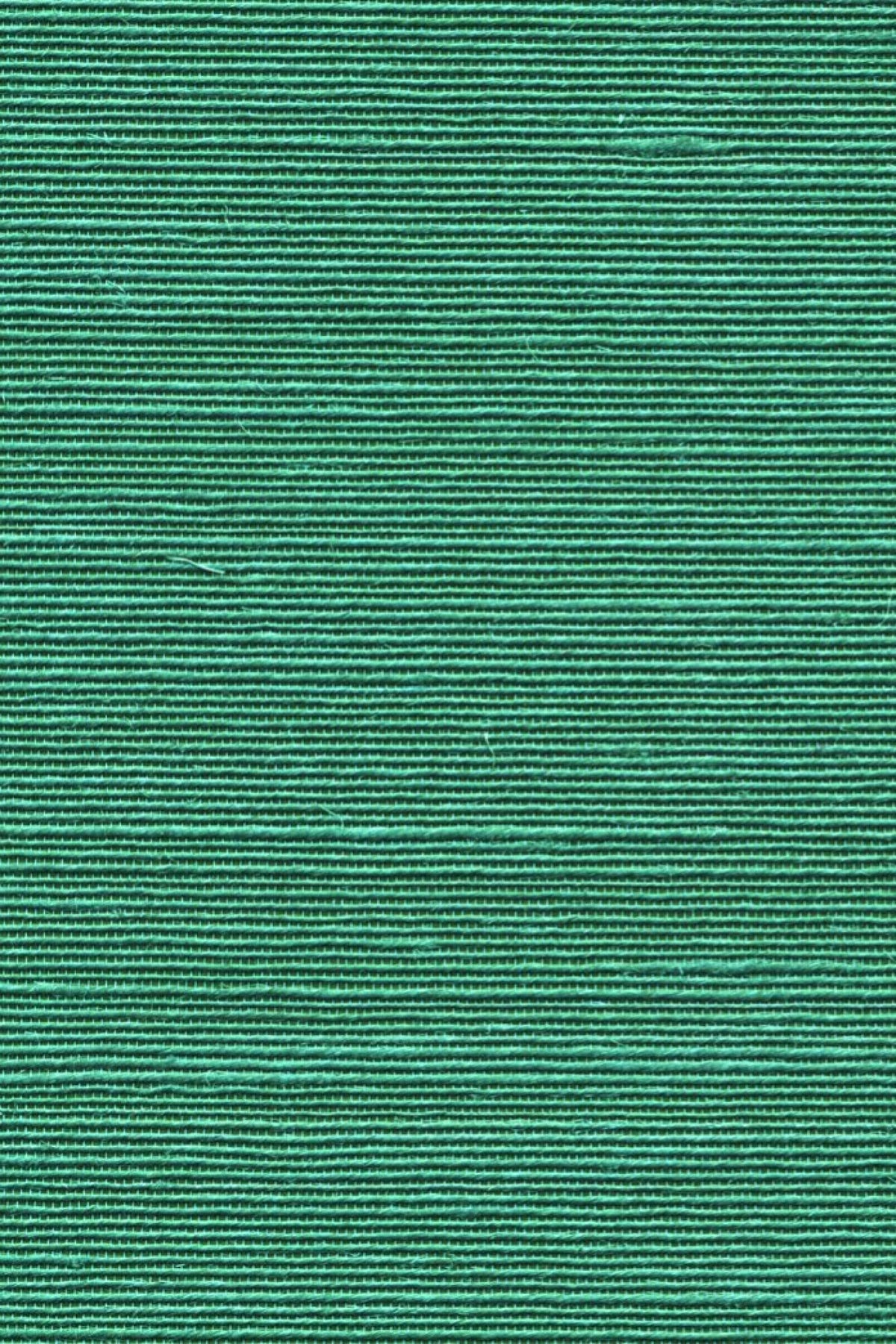 Agave