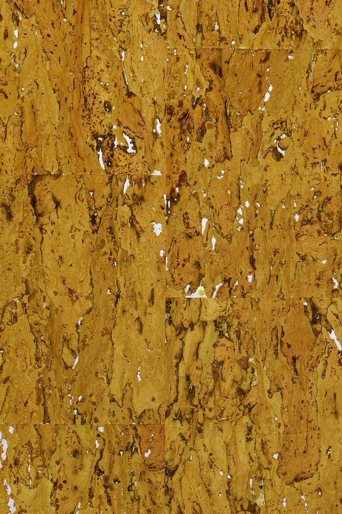 Alentejo Cork