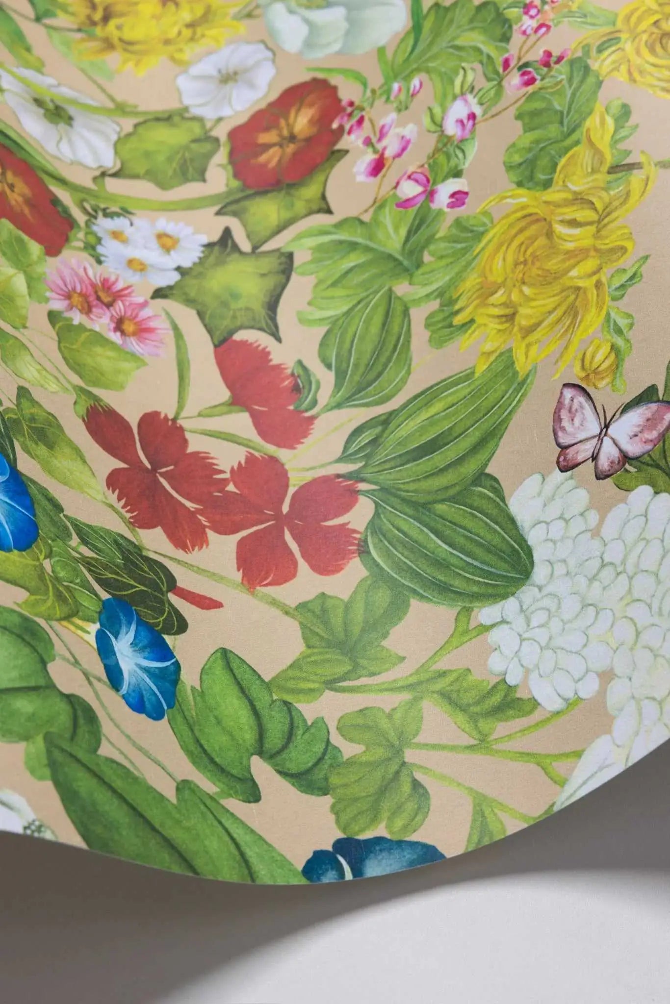 Cole & Son Carta da Parati Flora Province Deco Interni