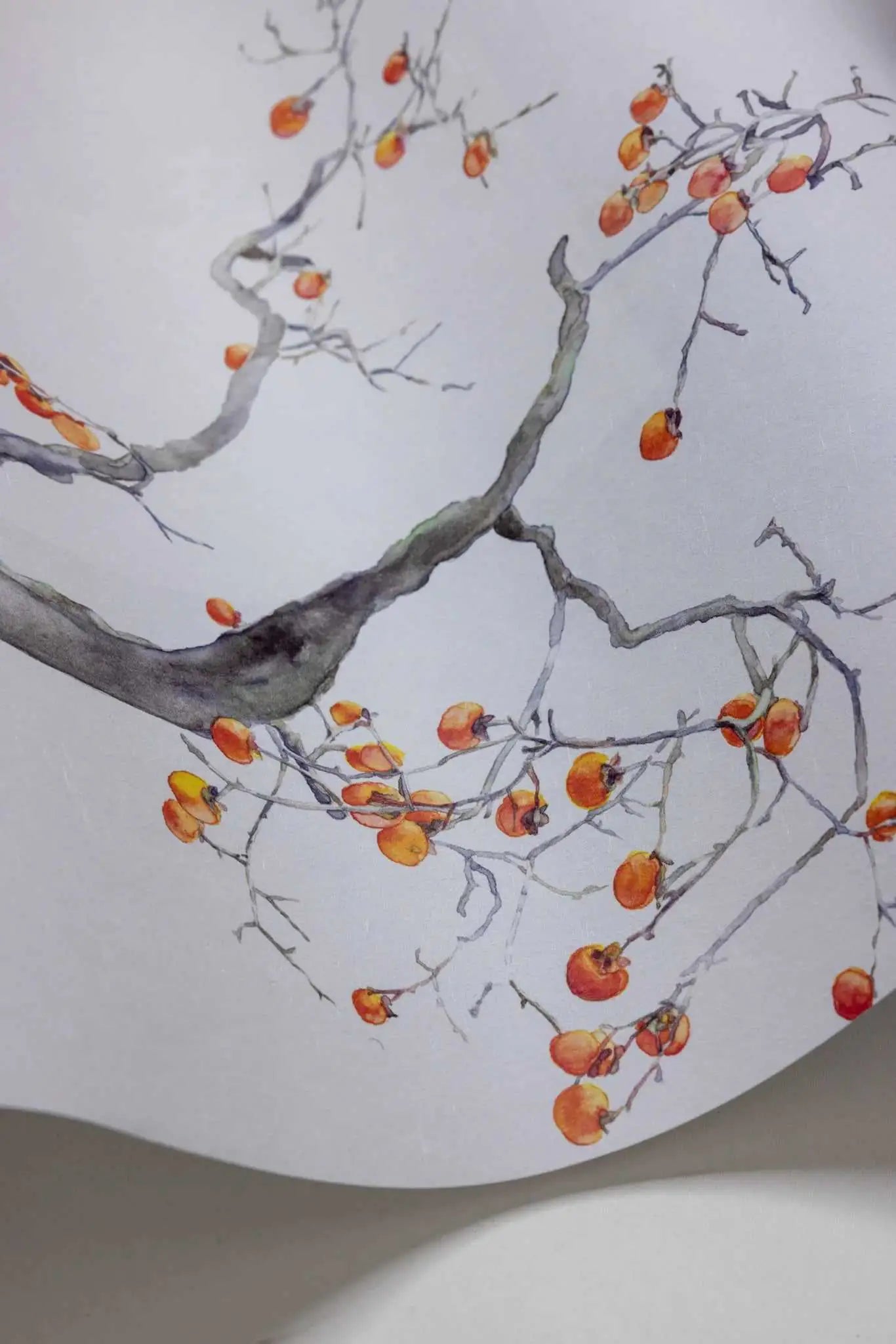 Cole & Son Carta da Parati Kaki Persimmon Deco Interni