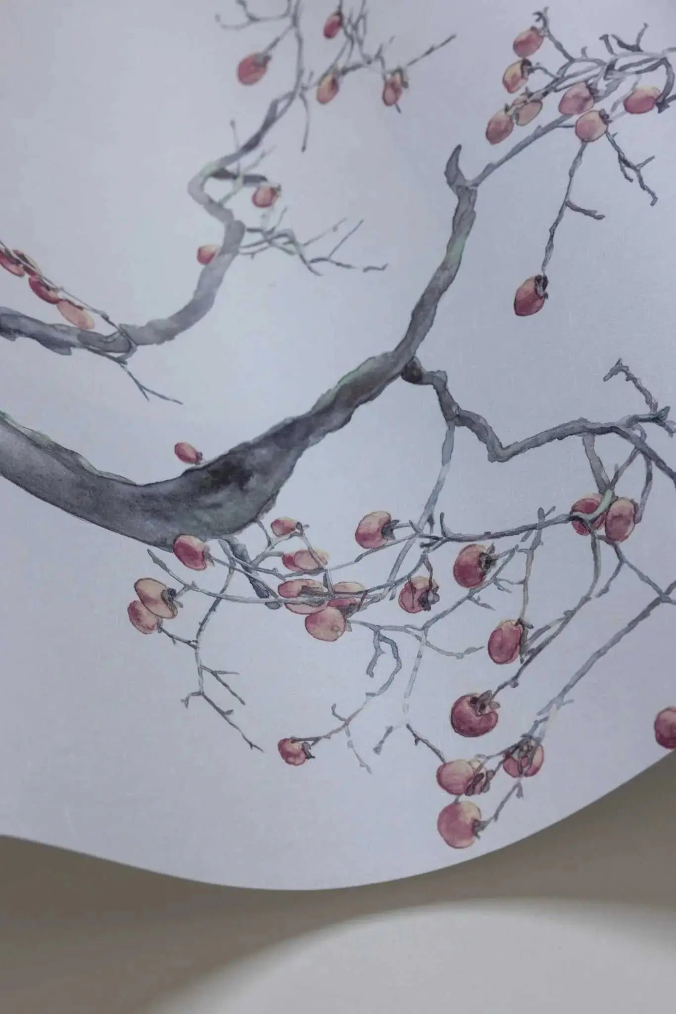 Cole & Son Carta da Parati Kaki Persimmon Deco Interni