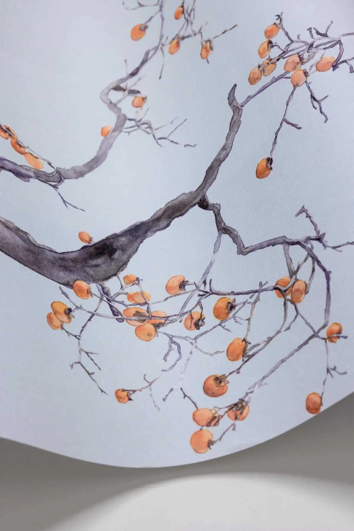 Cole & Son Carta da Parati Kaki Persimmon Deco Interni