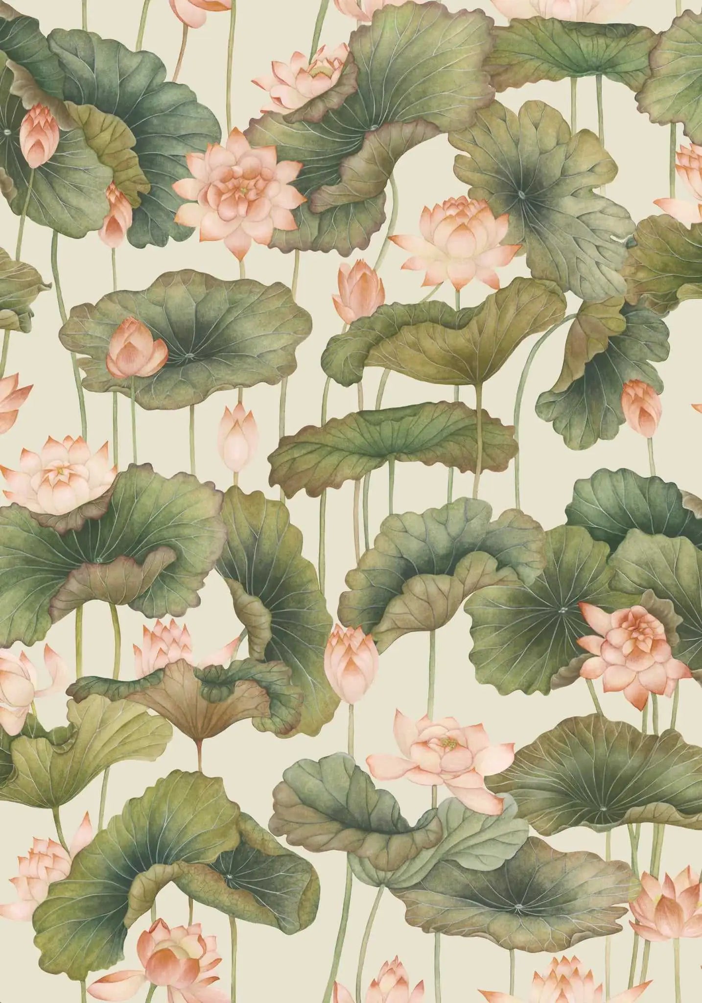 Cole & Son Carta da Parati Lily Lotus Deco Interni