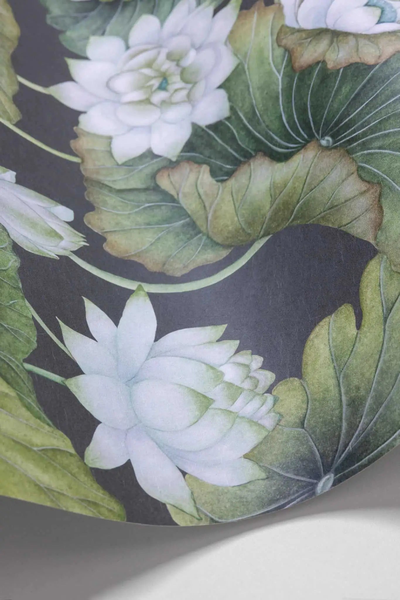 Cole & Son Carta da Parati Lily Lotus Deco Interni