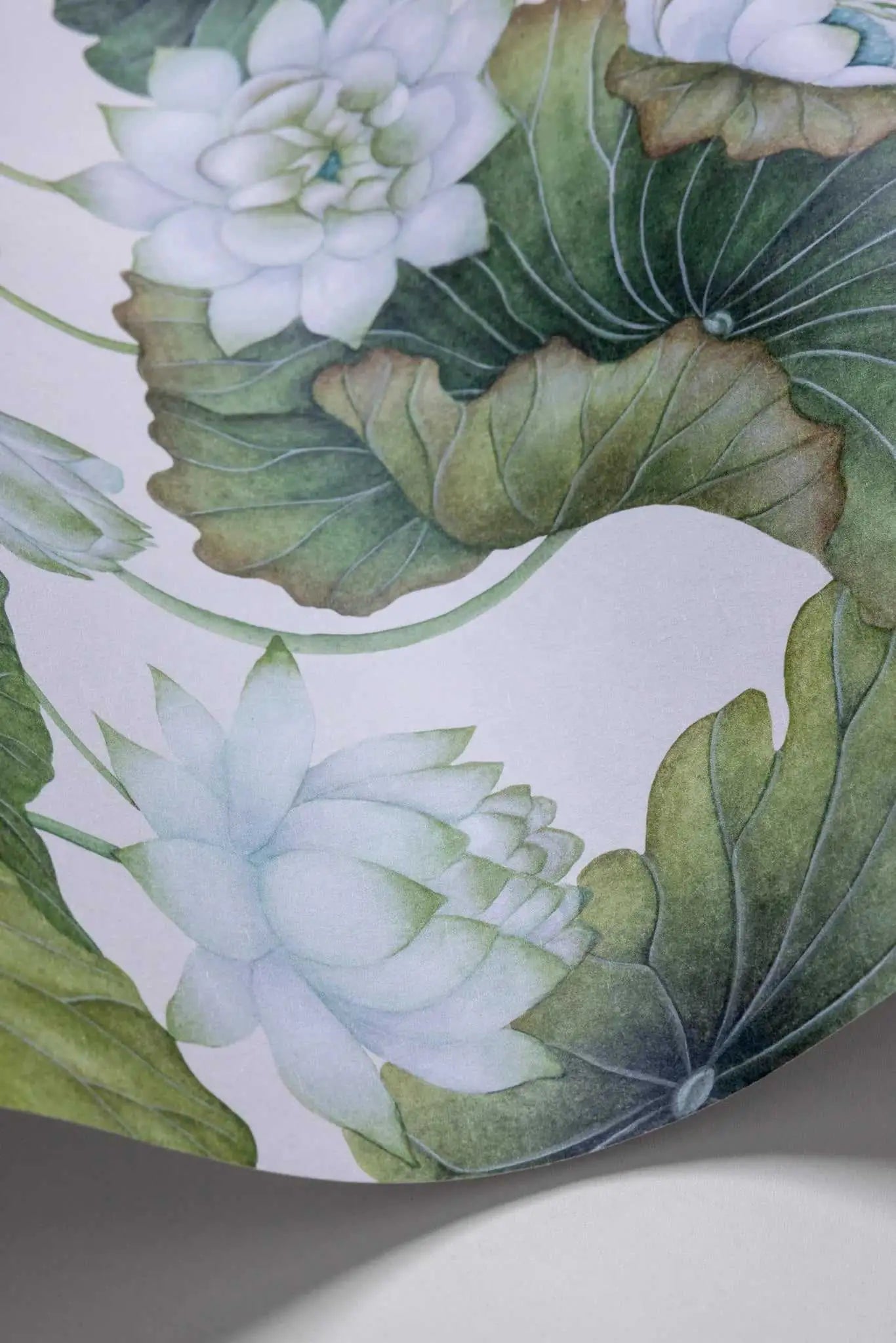 Cole & Son Carta da Parati Lily Lotus Deco Interni
