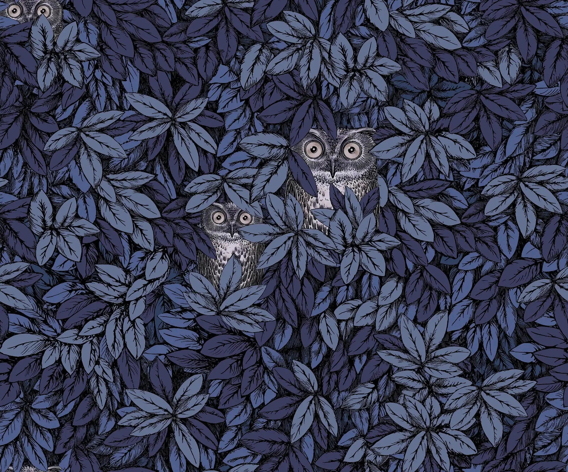 Carta da parati Foglie e Civette Midnight Cole & Son