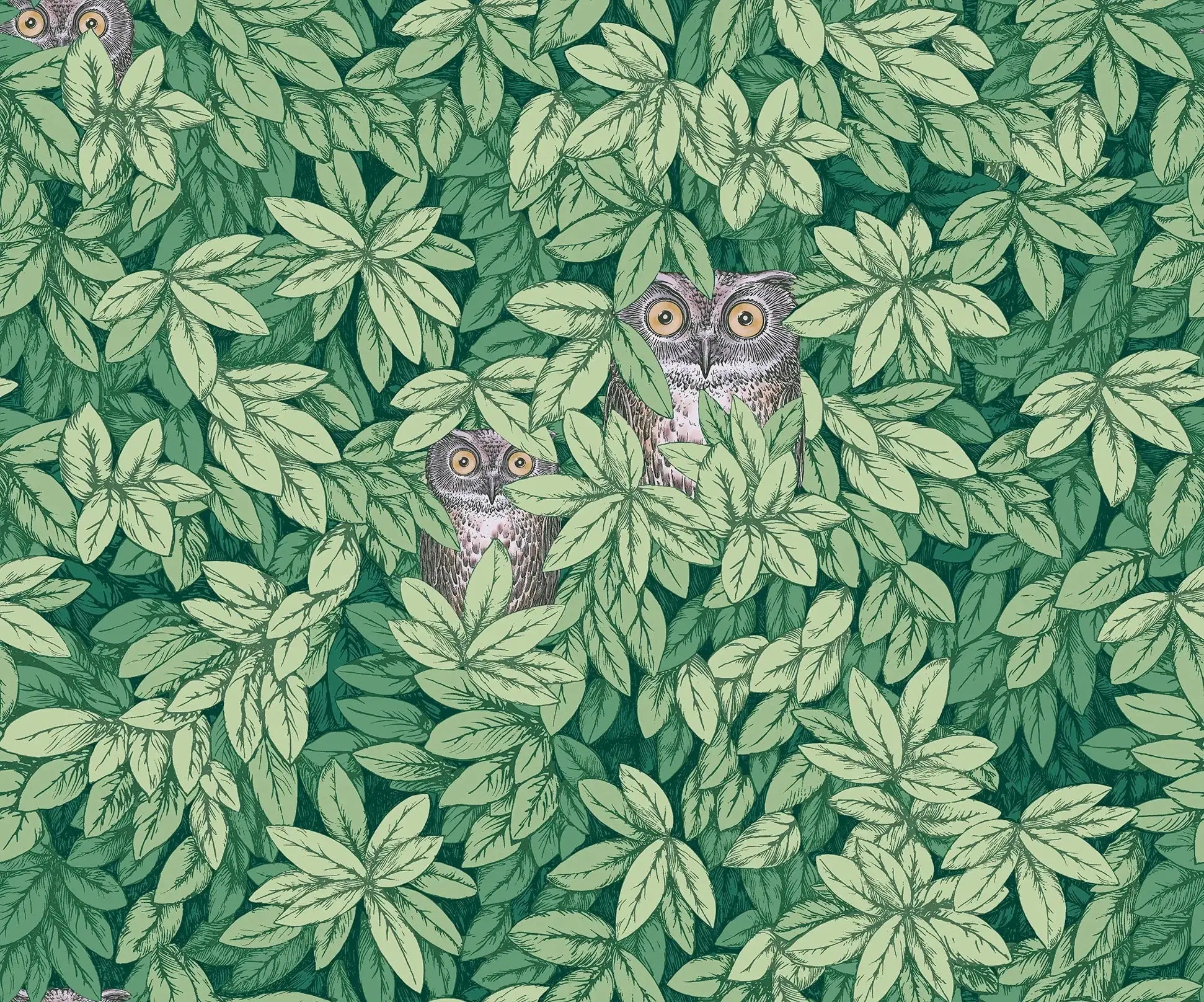Carta da parati Foglie e Civette Forest Green Cole & Son