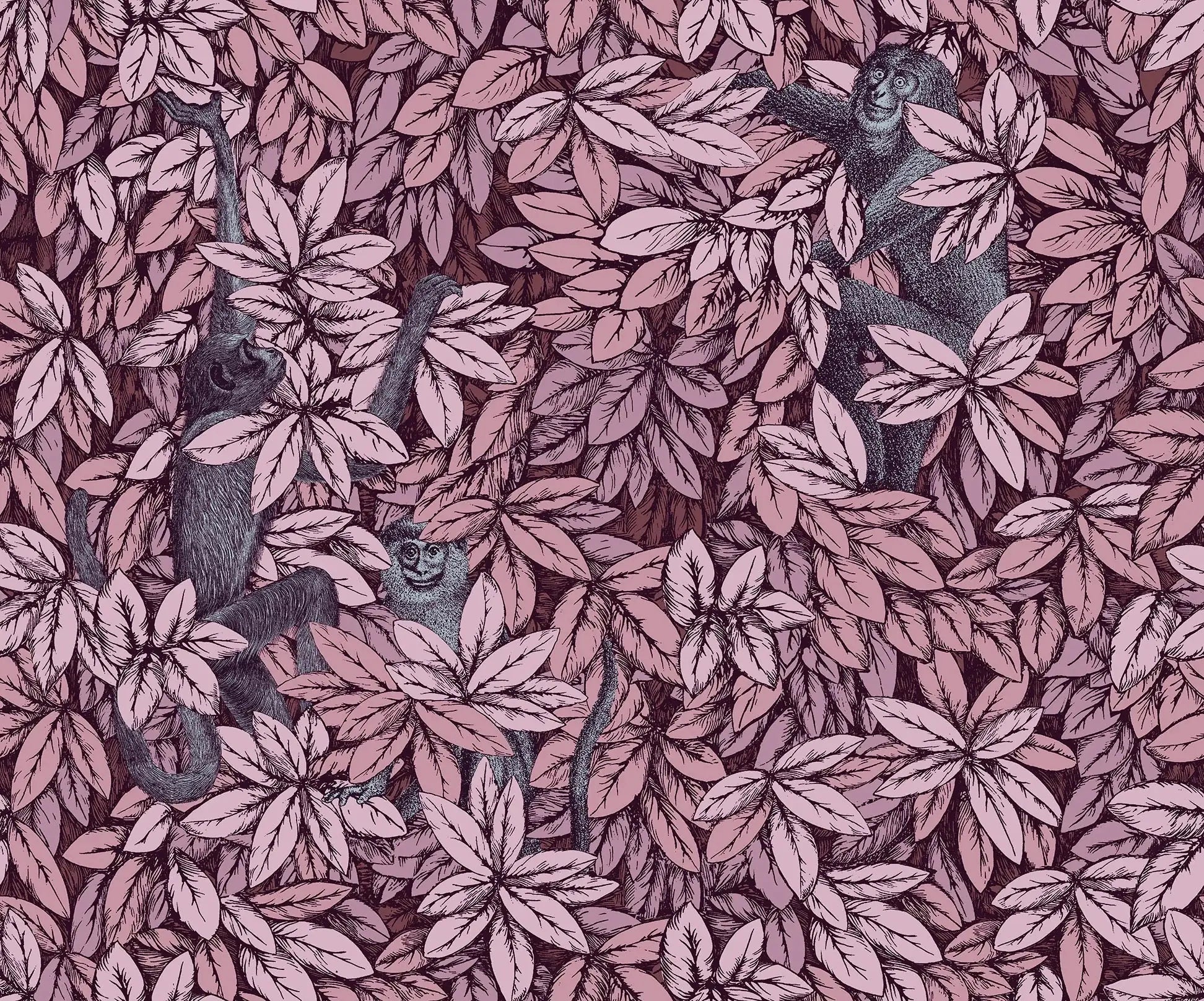Carta da parati Foglie e Scimmie Blush with Blue Cole & Son