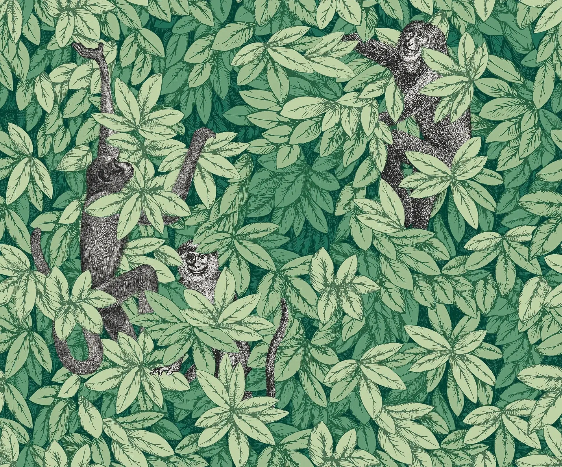 Carta da parati Foglie e Scimmie Forest Green Cole & Son