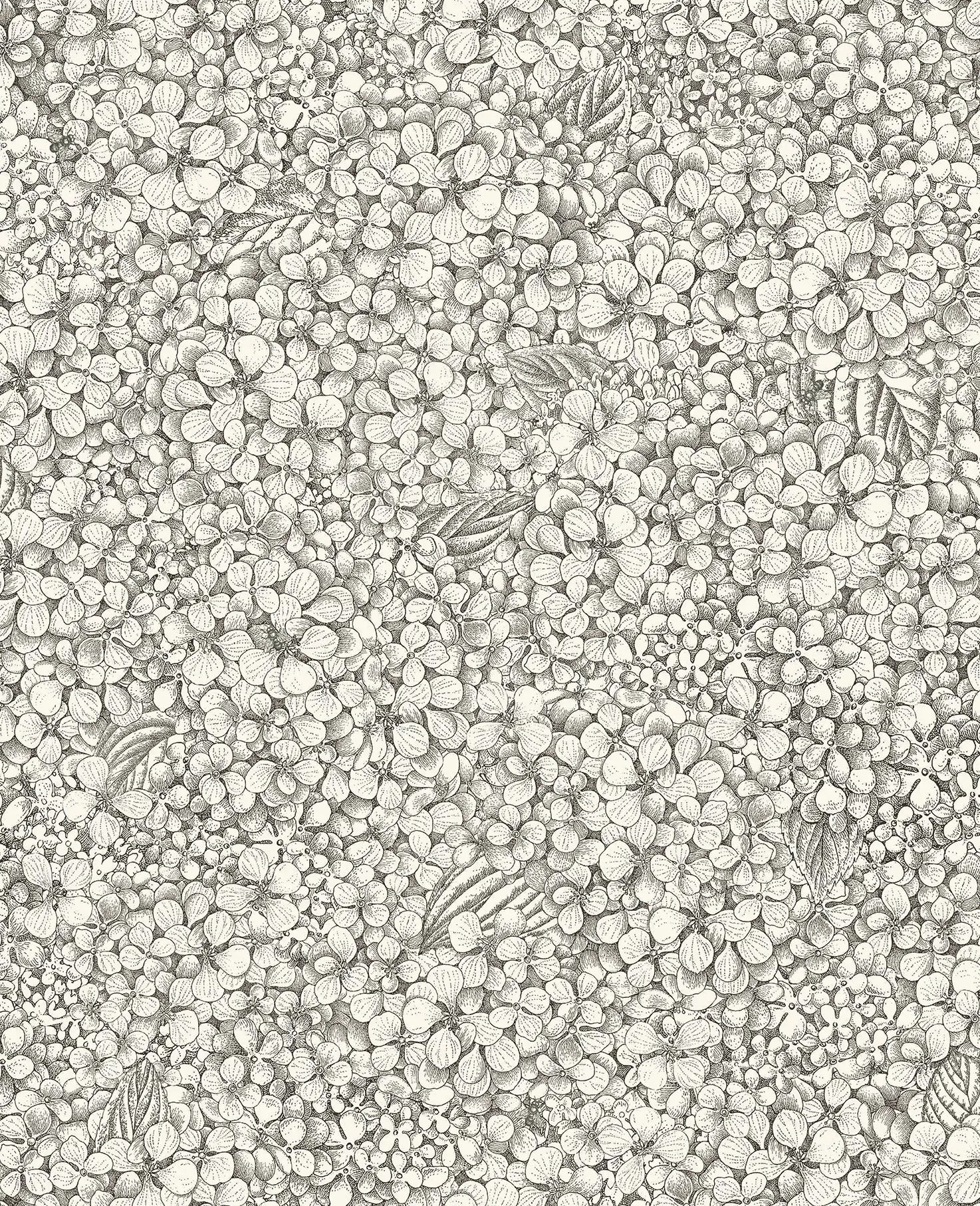 Carta da parati Ortensia Black and White Cole & Son