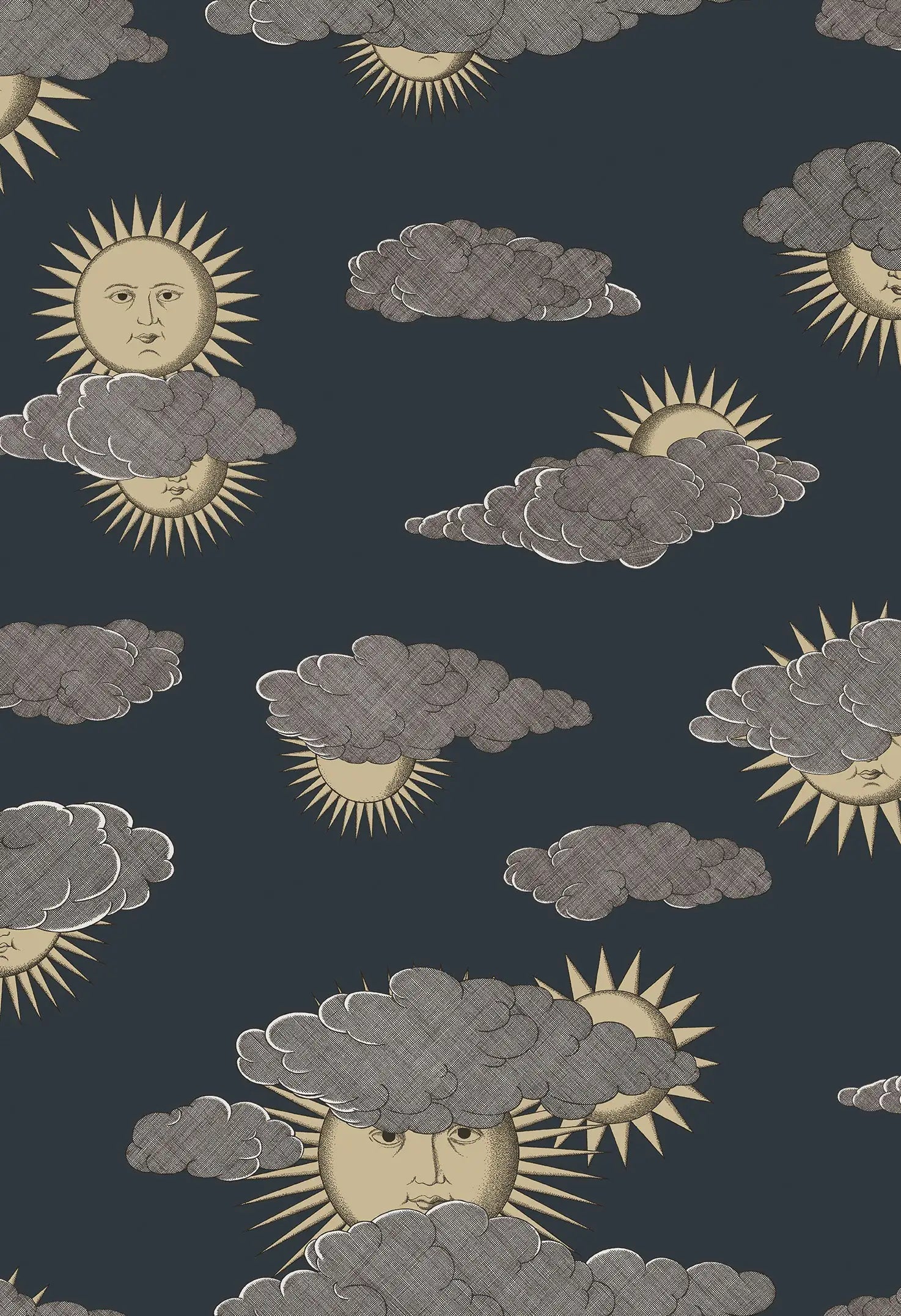 Carta da parati Soli e Nuvole Gold and Silver on Charcoal Cole & Son
