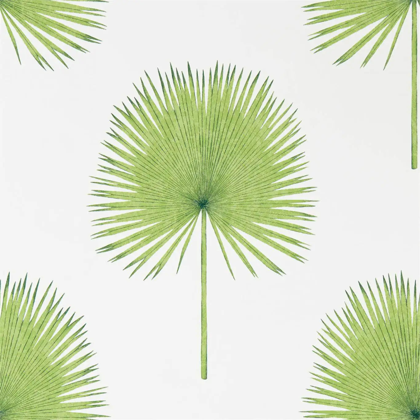 carta da parati Sanderson con palme