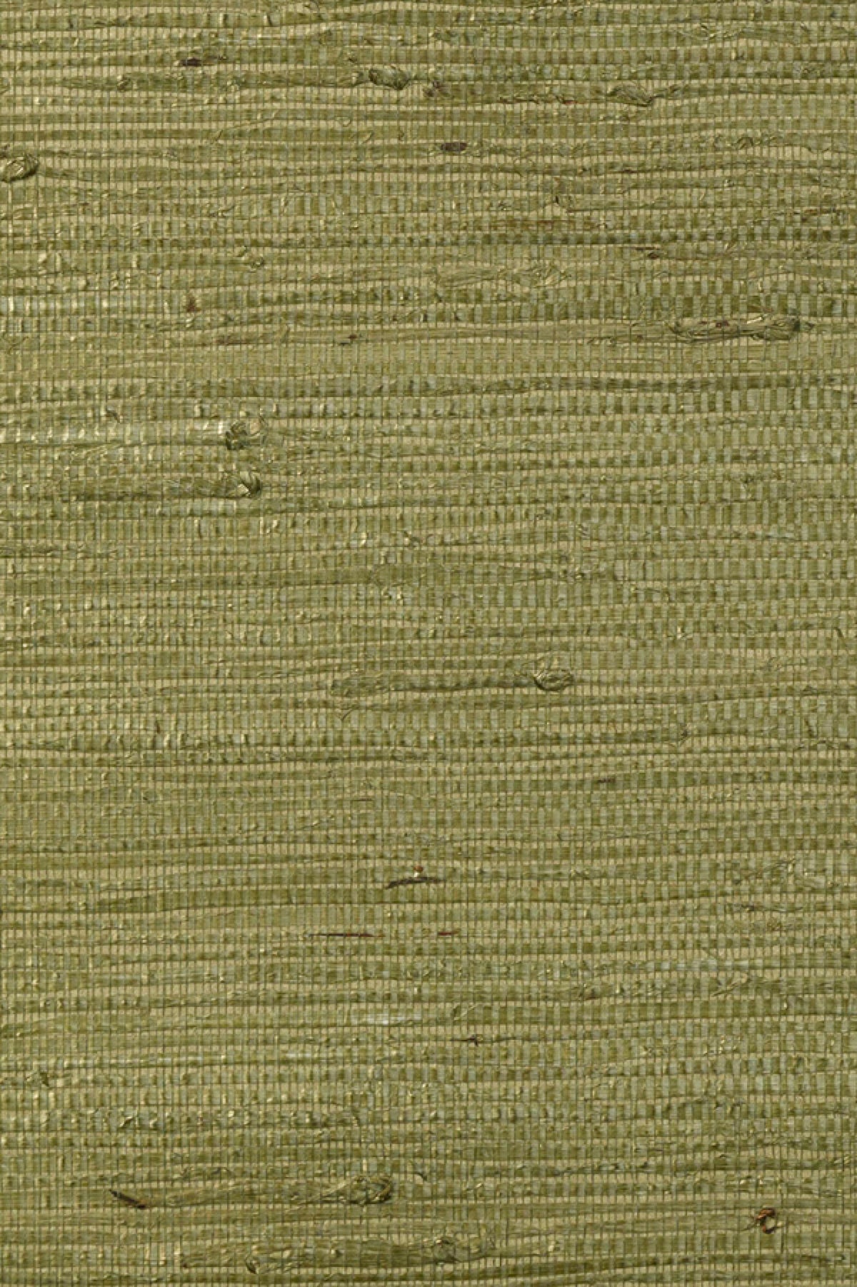 Kudzu