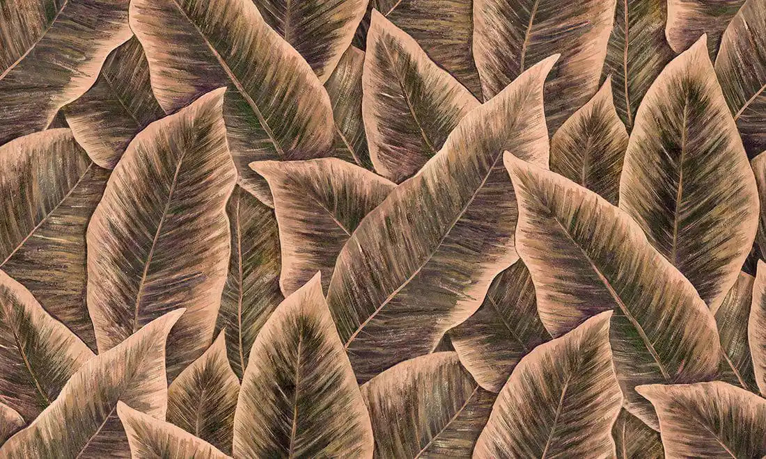 birds of paradise blush