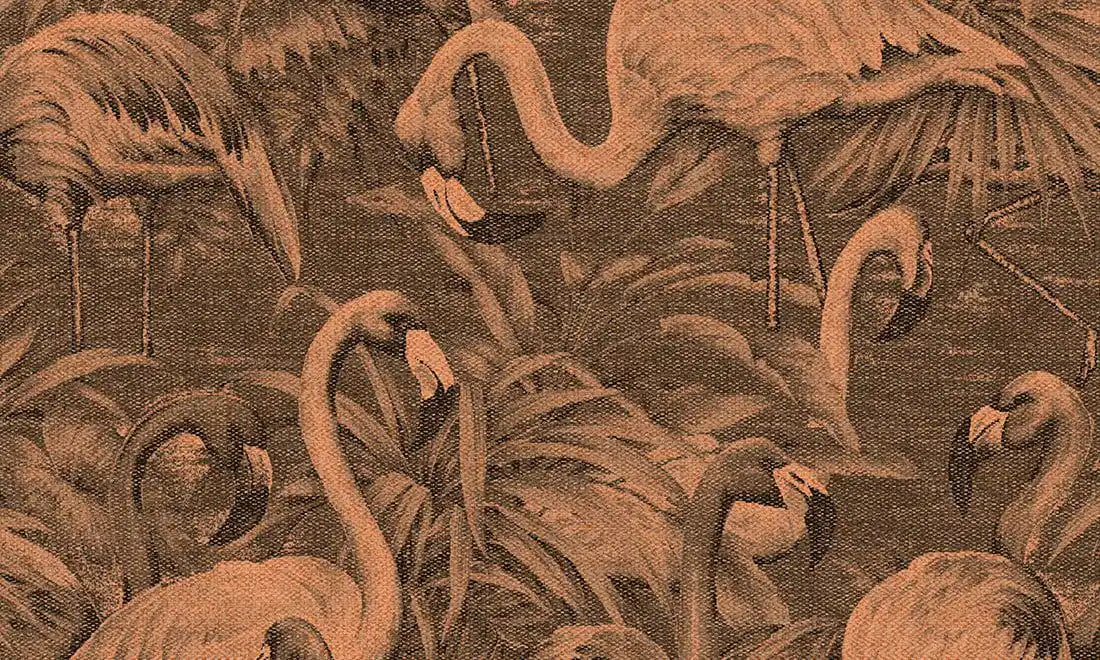 flamingos andinos butterfly weeds
