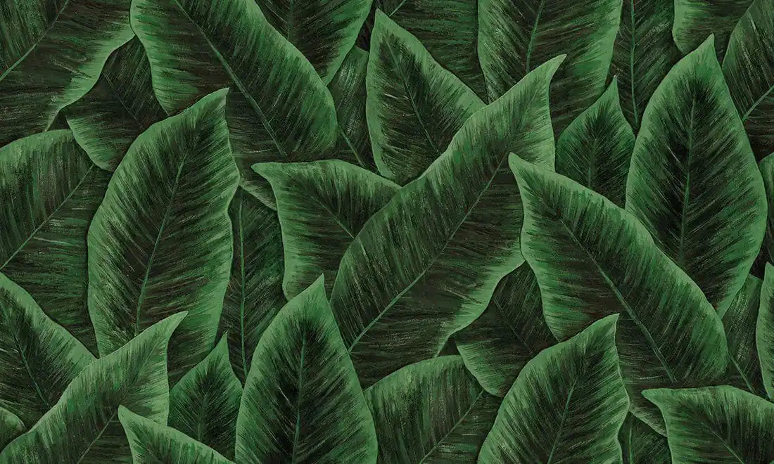 birds of paradise emerald
