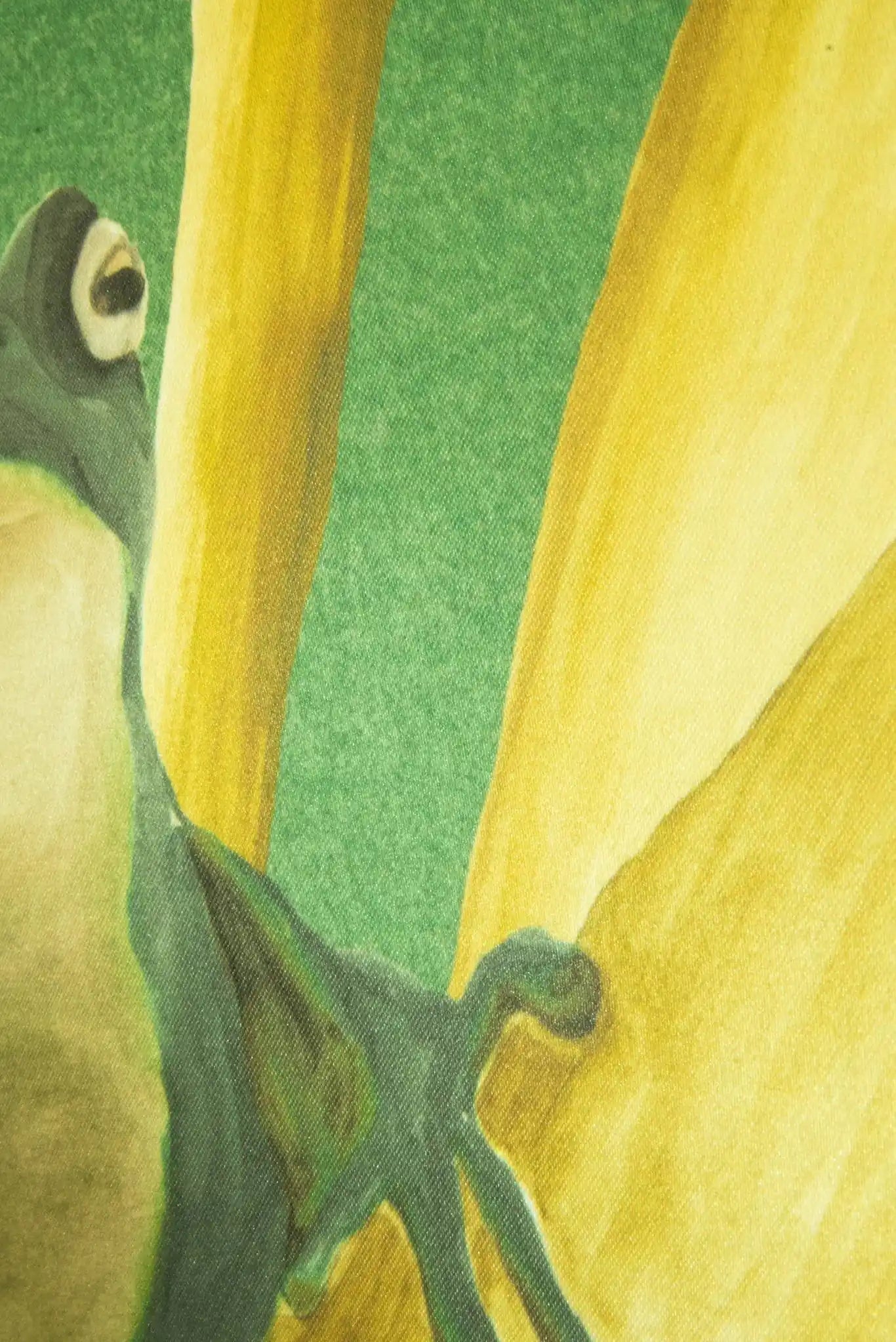 les grenouilles de chavroches