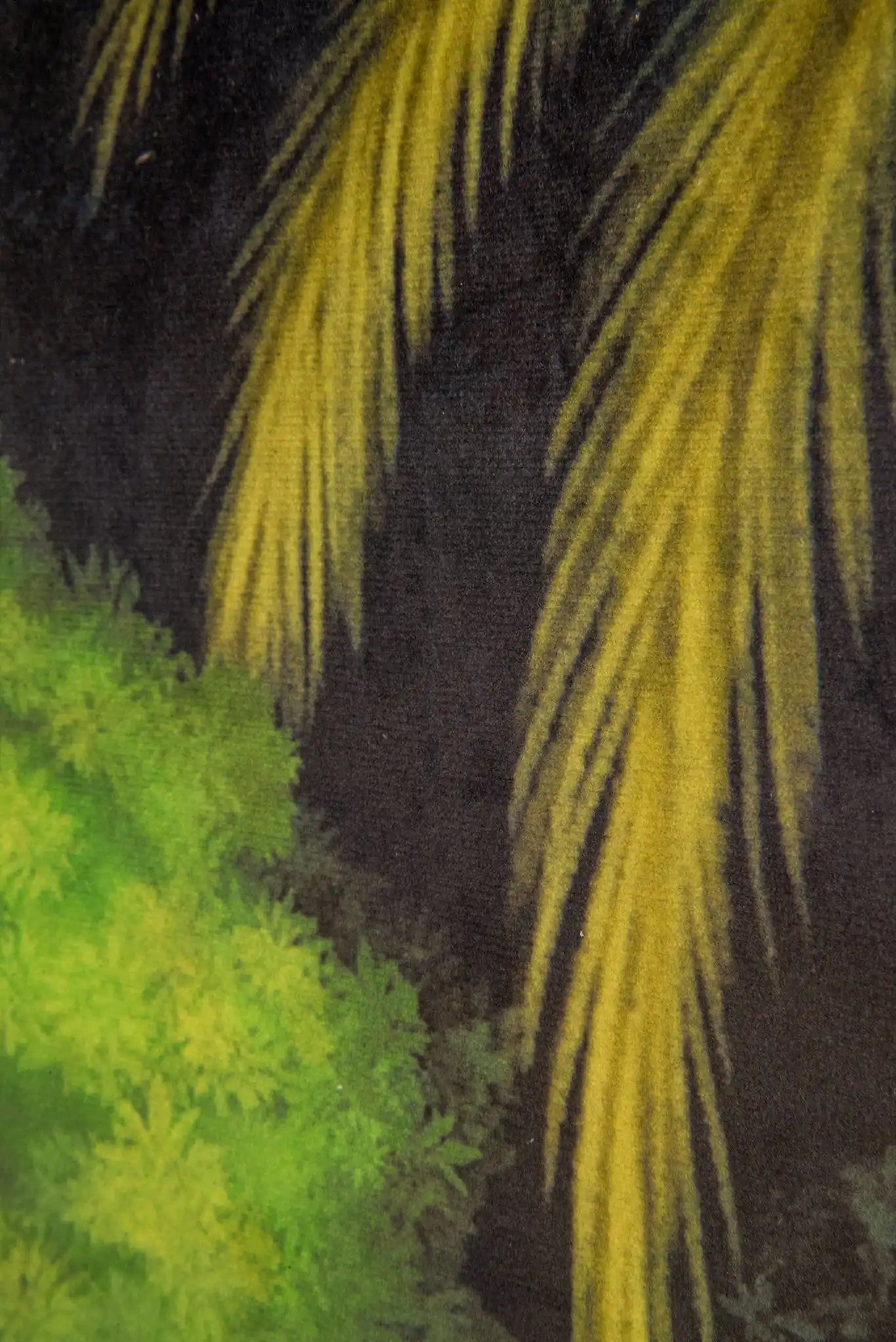 ciel tropical