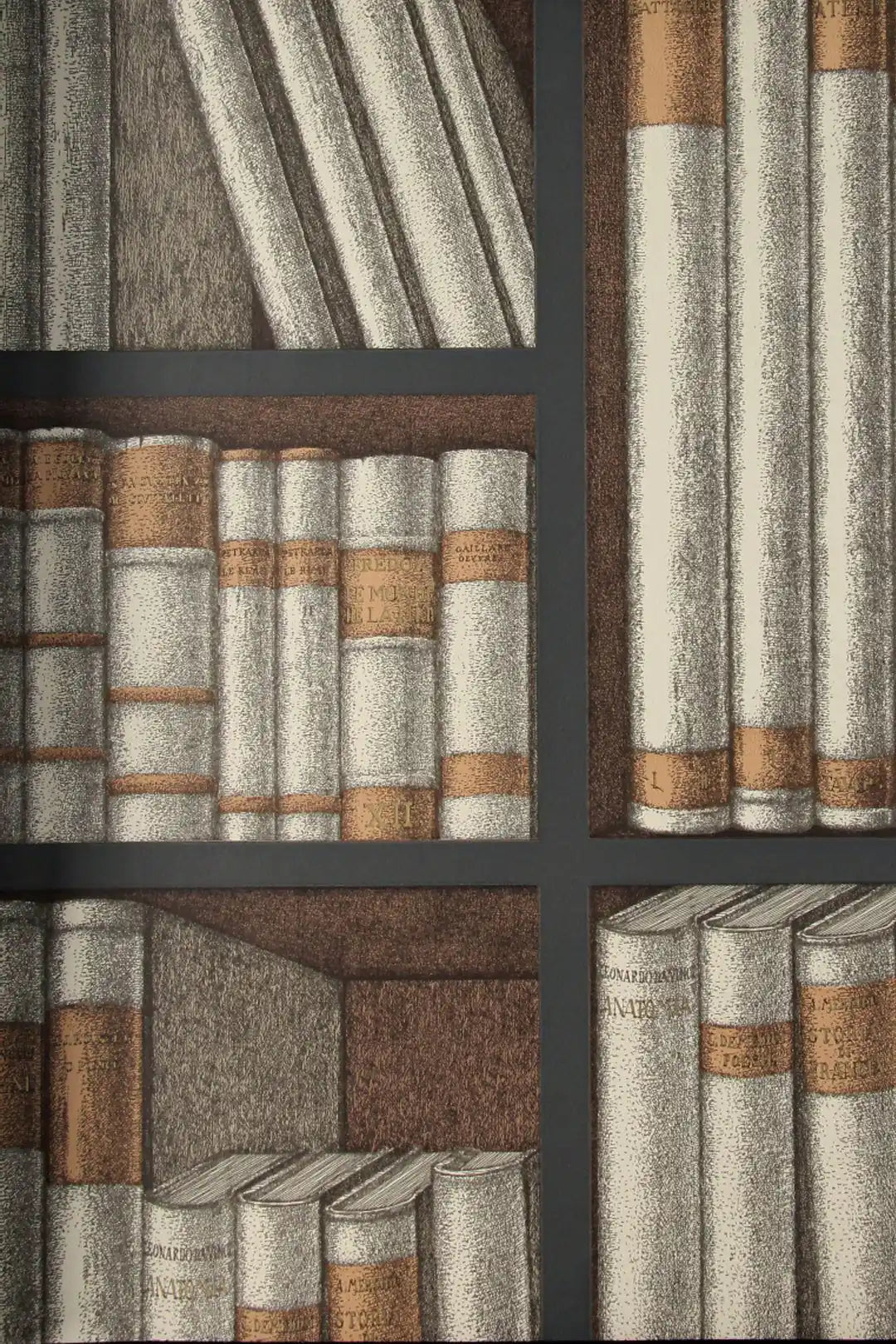Carta da parati Fornasetti - Ex libris Beige Cole & Son