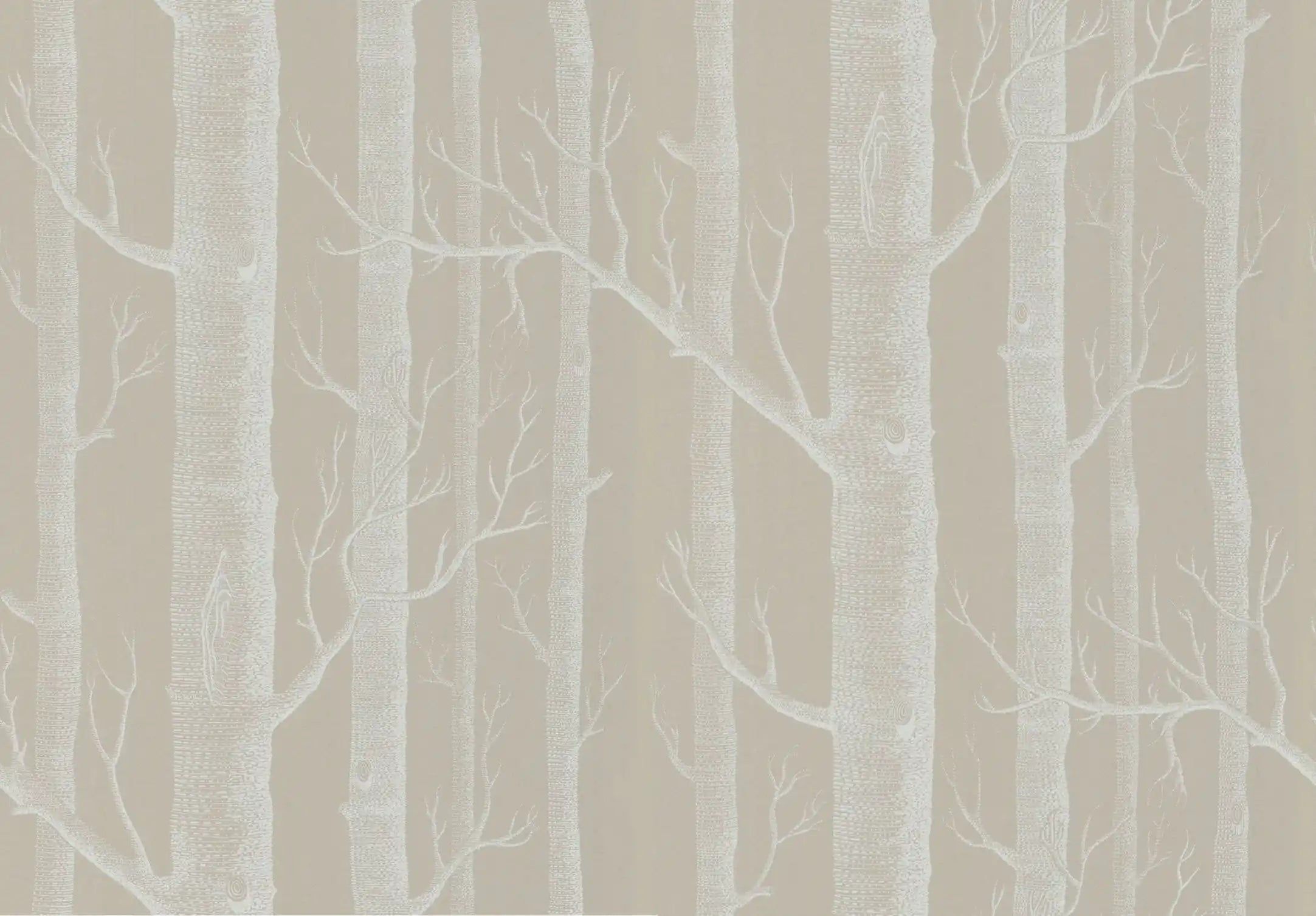 Carta da parati Woods Beige Cole & Son