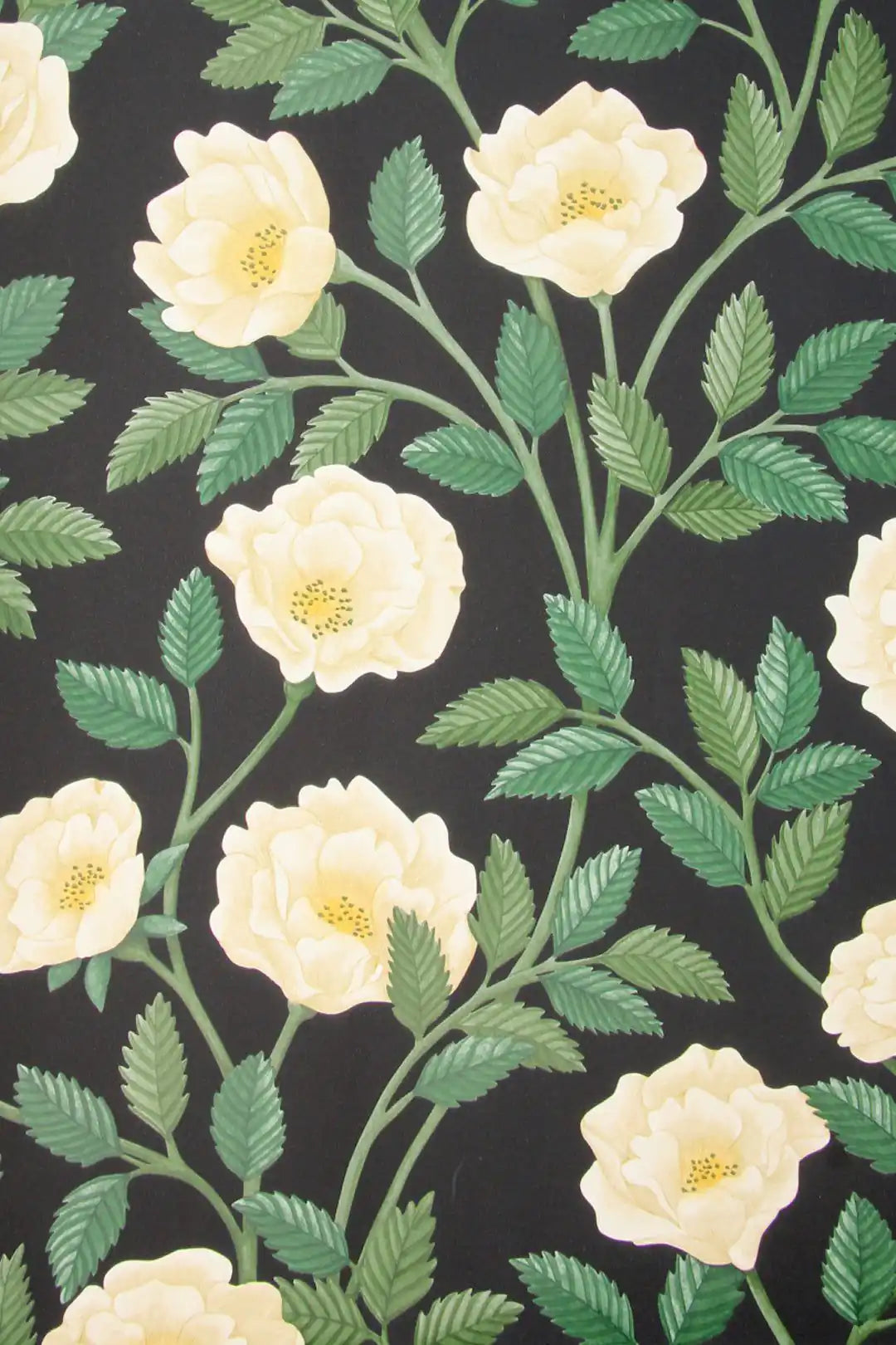 Carta da parati Hampton Roses Bianco Cole & Son