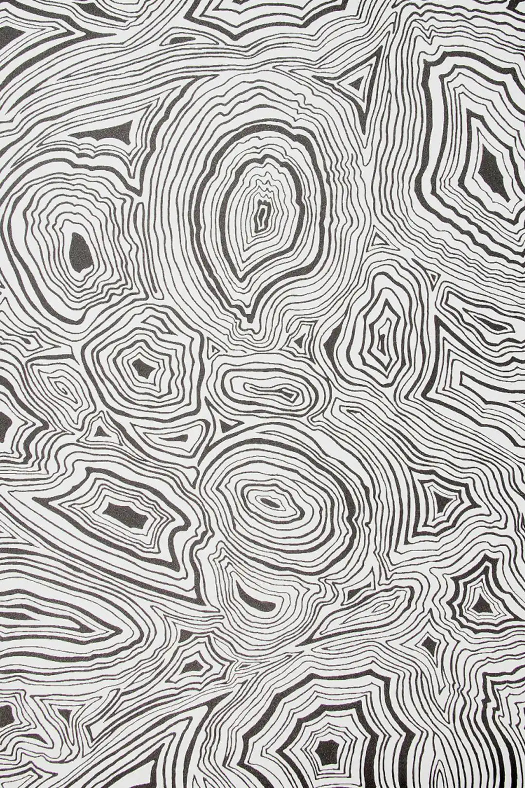 Carta da parati Fornasetti - Malachite Bianco/Nero Cole & Son