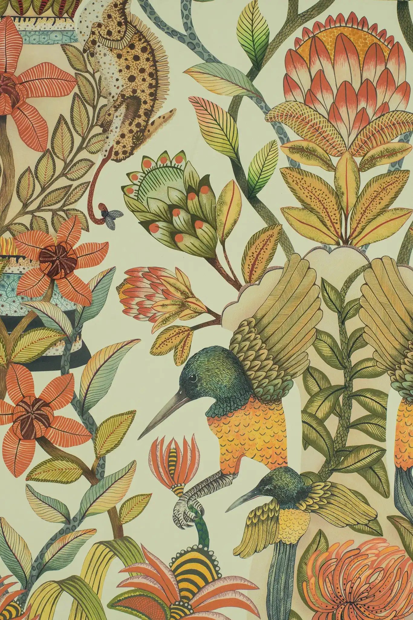 Carta da parati Protea Garden Bianco Cole & Son