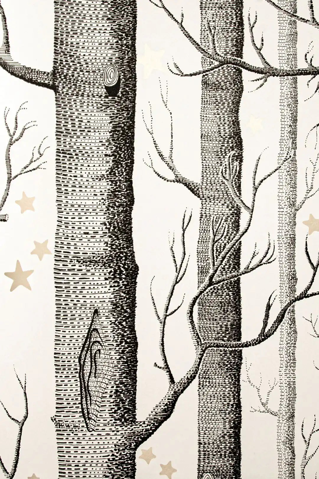 Carta da parati Woods and Stars Bianco Cole & Son