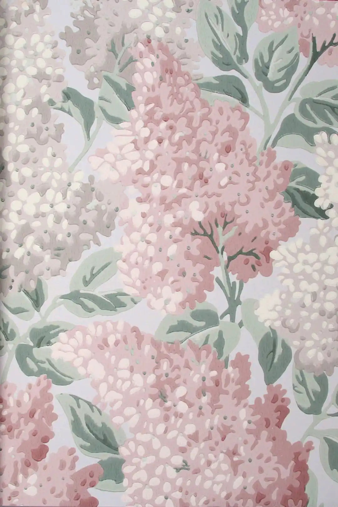Carta da parati Lilac~Syringa Vulgaris Blush Cole & Son