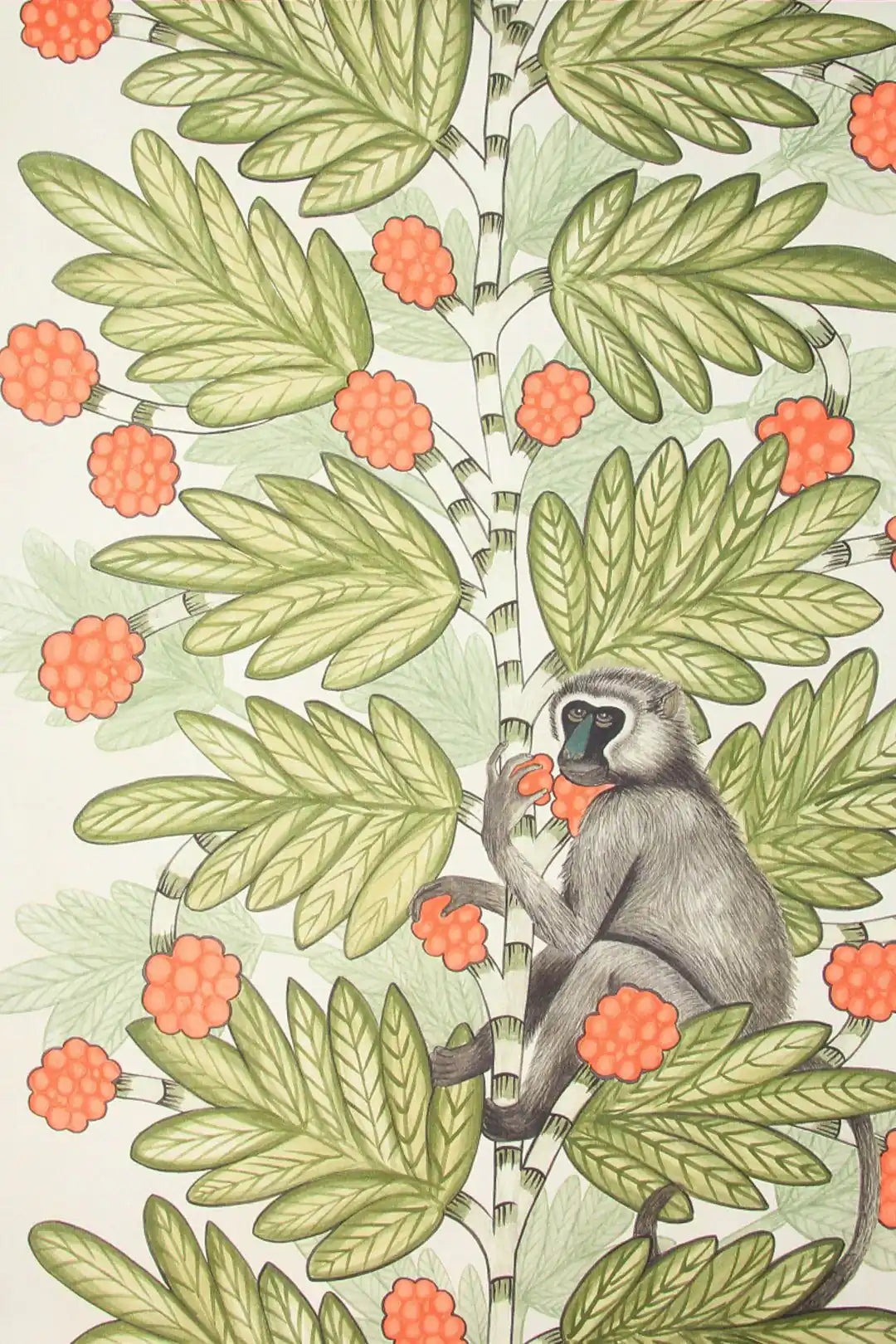 Carta da parati Acacia Chiaro Cole & Son