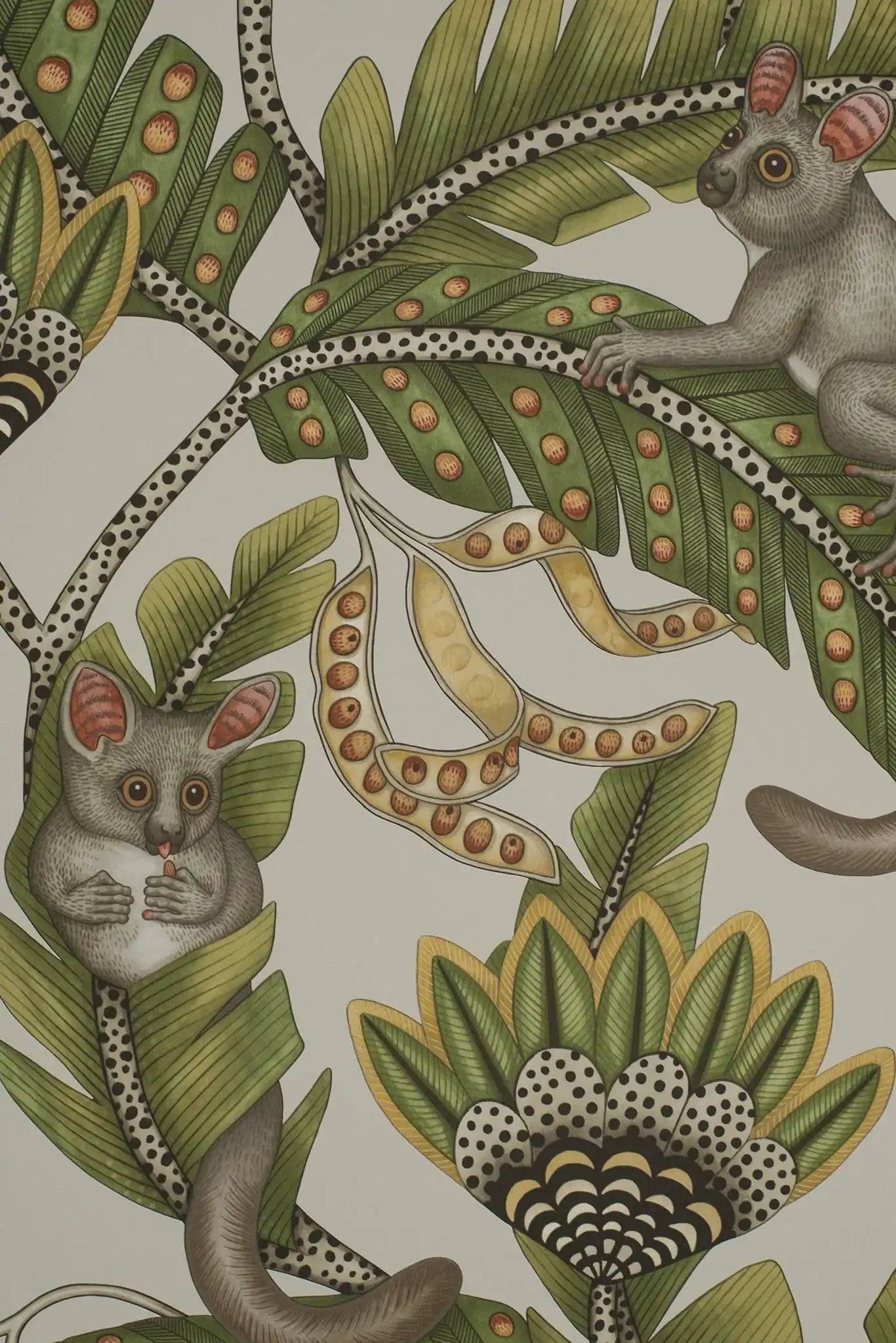 Carta da parati Bush baby Crema Cole & Son