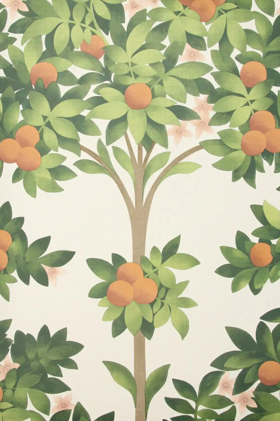 Carta da parati Orange Blossom Crema Cole & Son