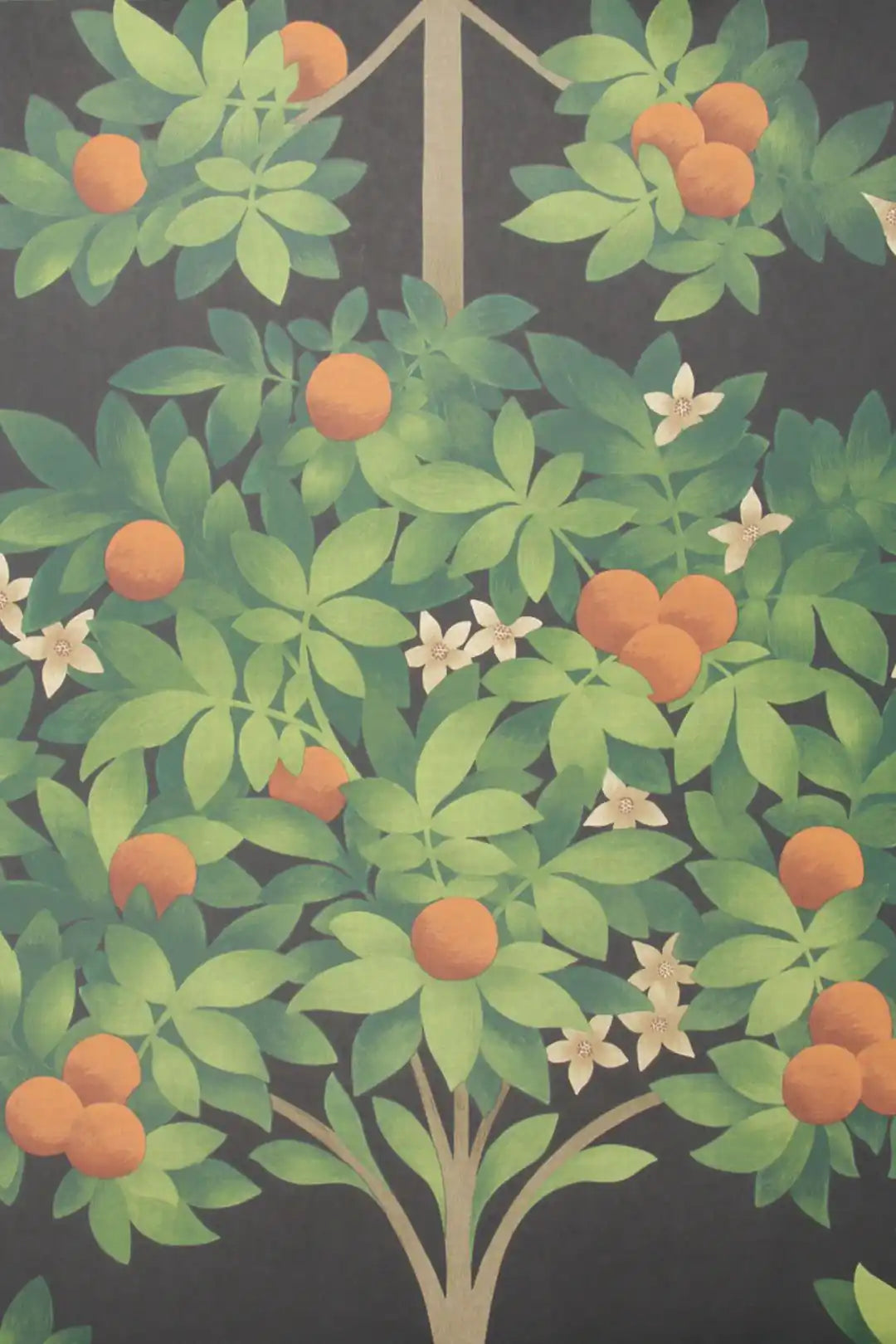 Carta da parati Orange Blossom Dark Cole & Son