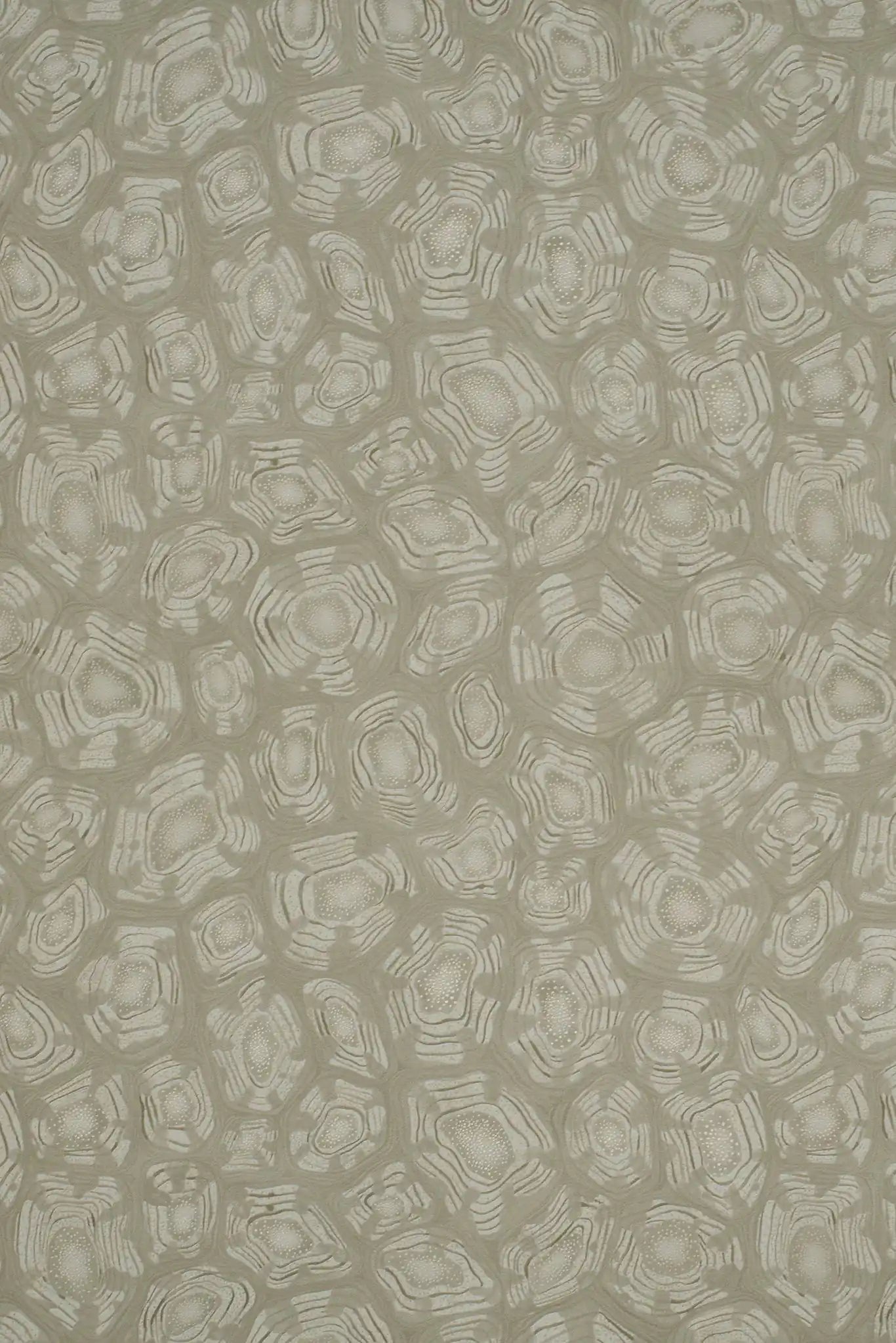 Carta da parati Savanna Shell Metallico Cole & Son